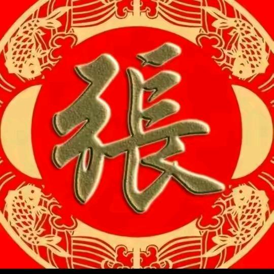 大唐壁虎张