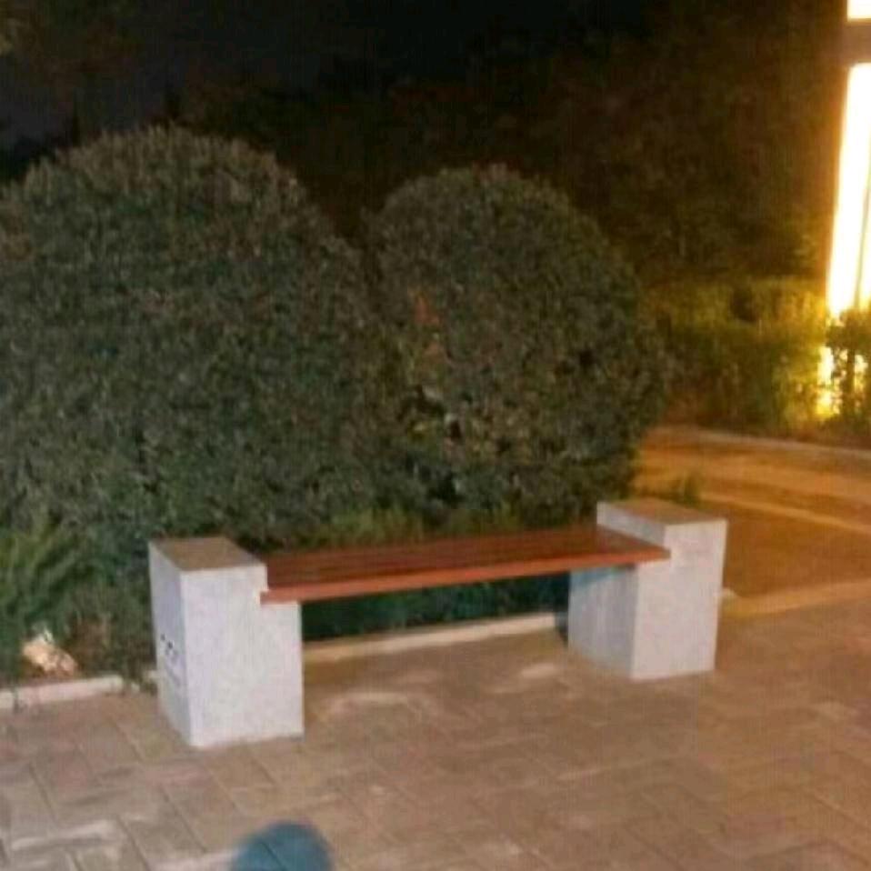 强哥（重新开始）