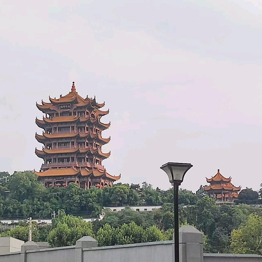 飞雁