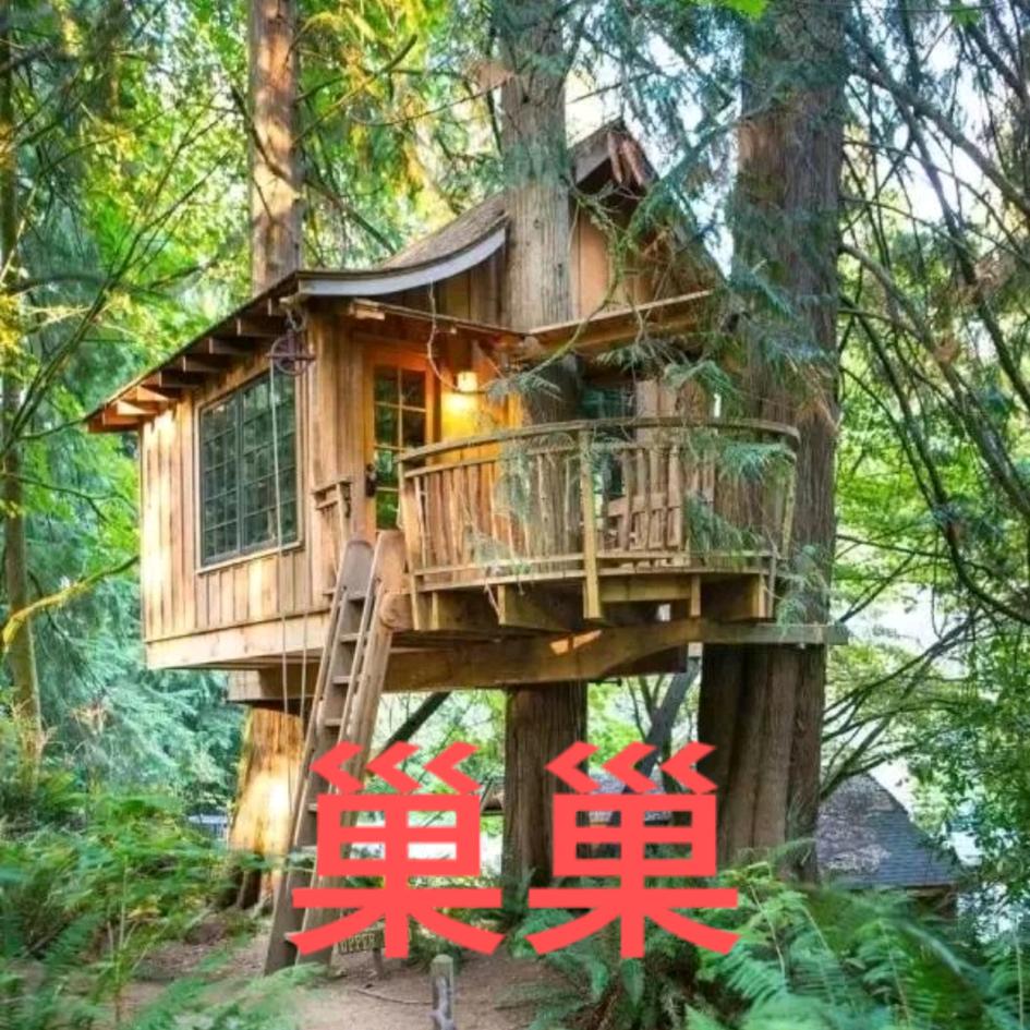 巢巢好物