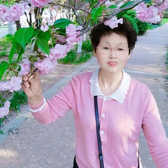 网神评