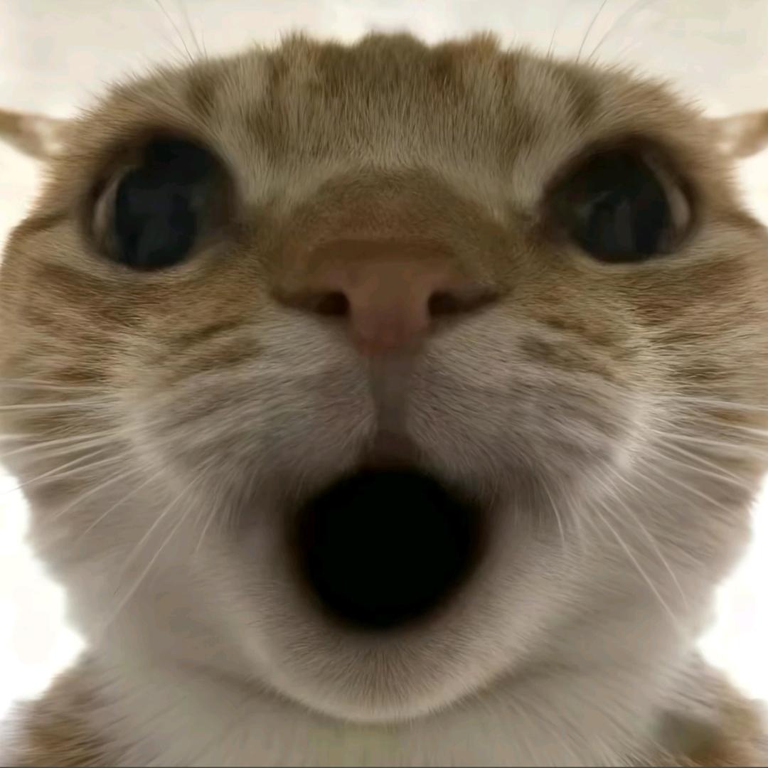 吾唐头像