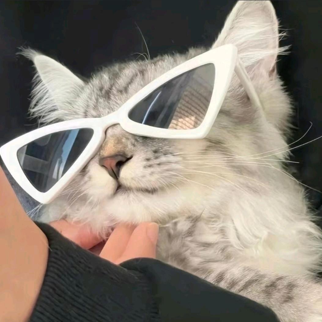 一寸心