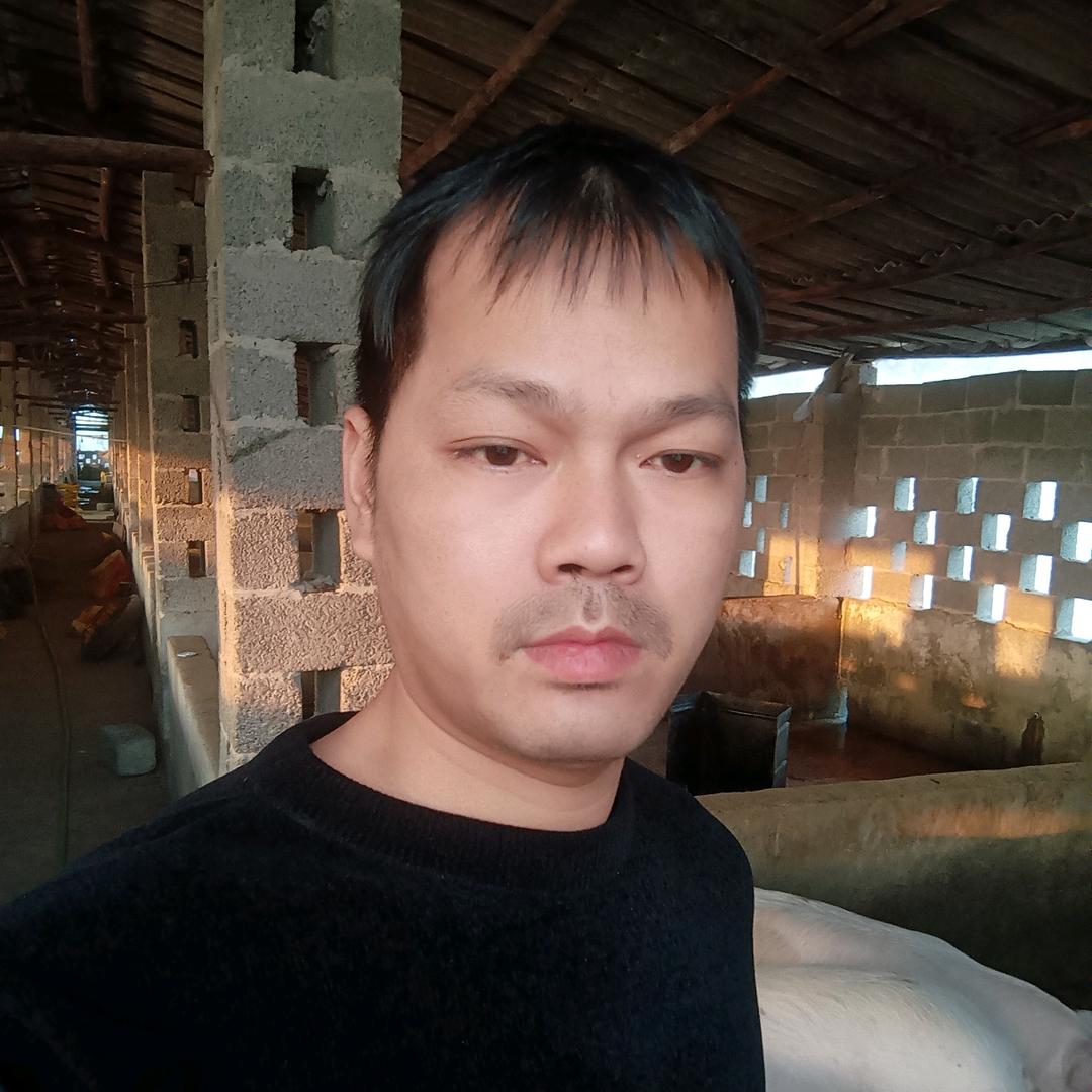 小明哥养猪