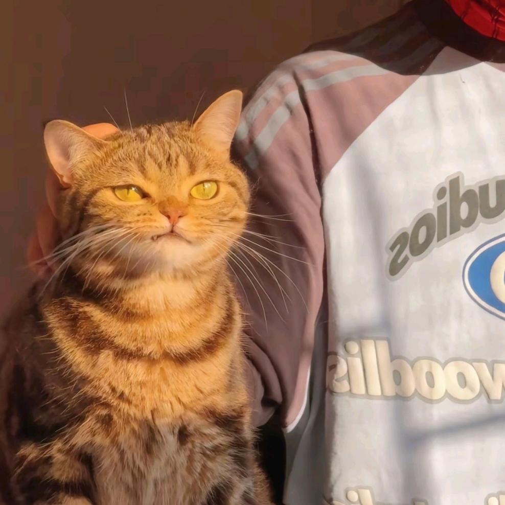 星期天不上发条