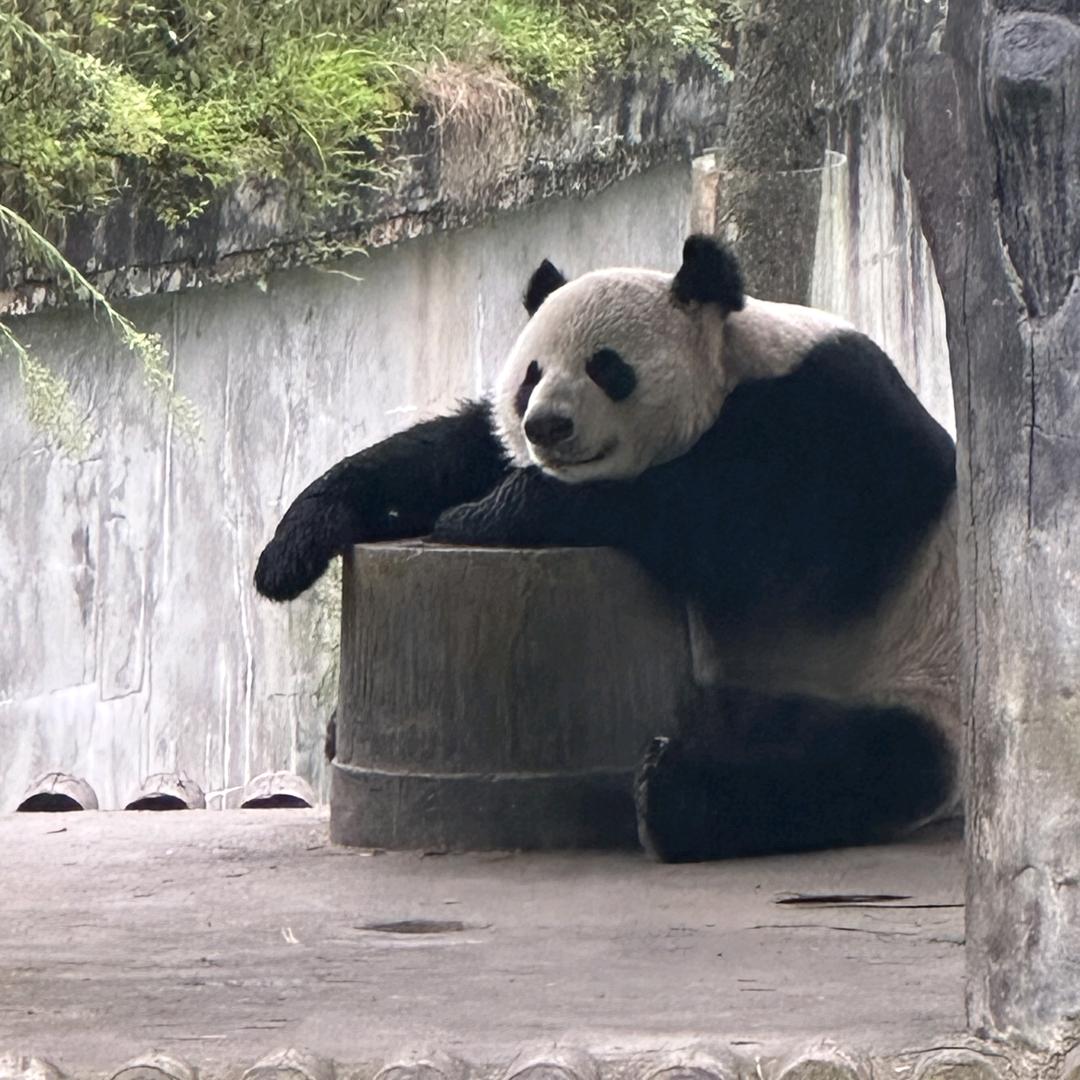 顺溜