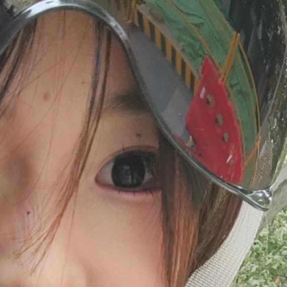 小高