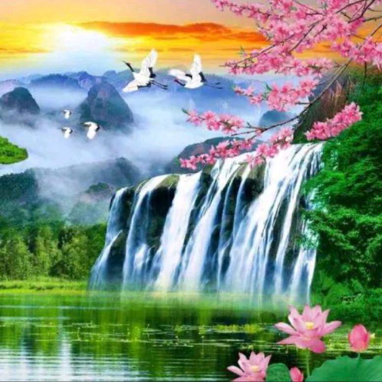 @恭喜发财（橱窗有好物）