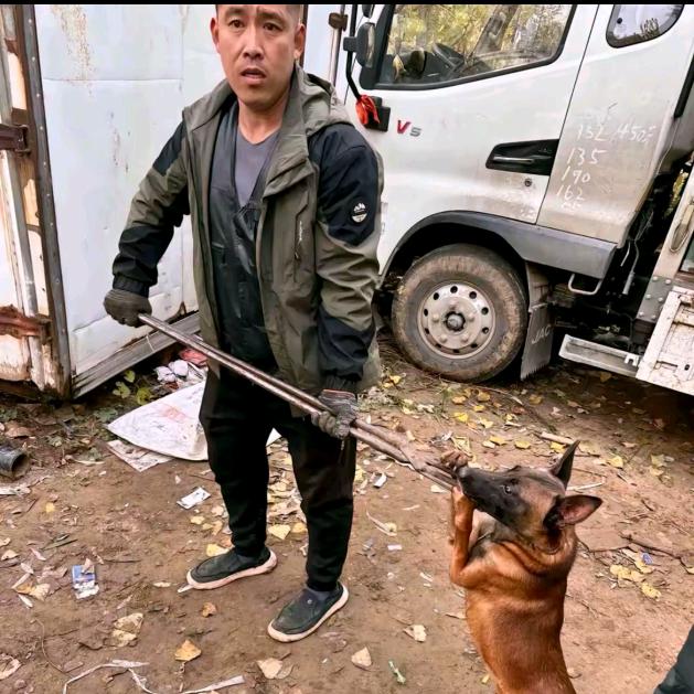 河北专业套狗细师傅