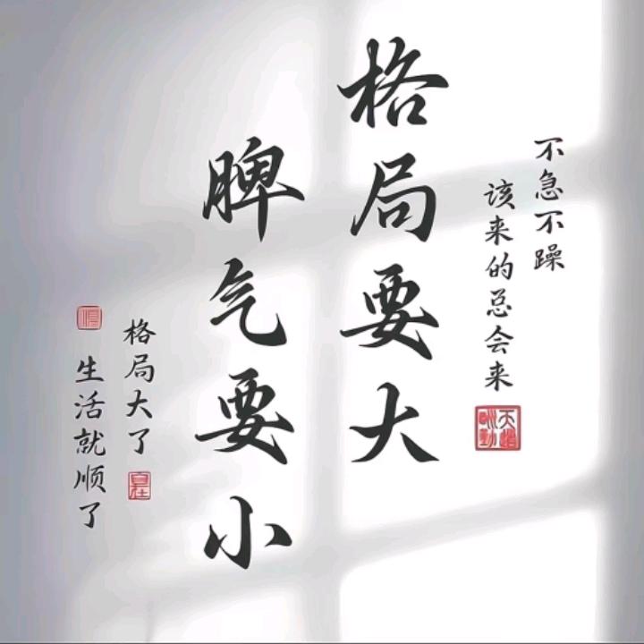 乐乐的日常