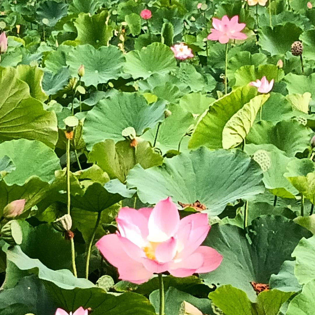 meimei1189头像