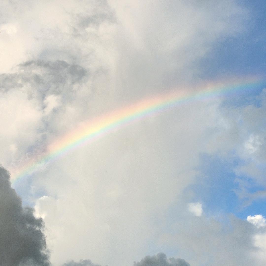 哉阿斯-记萍冰城