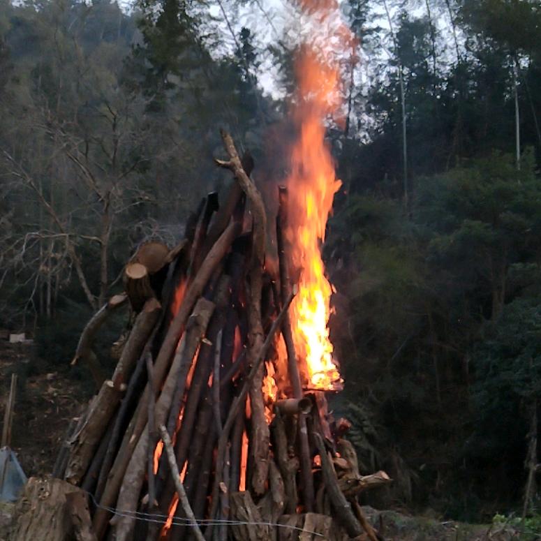 真心关心我的人