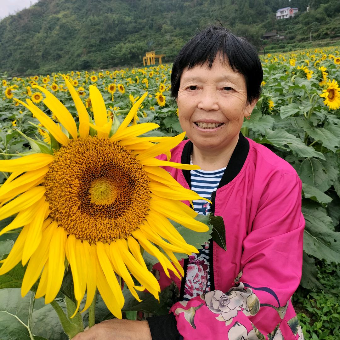 青悠悠