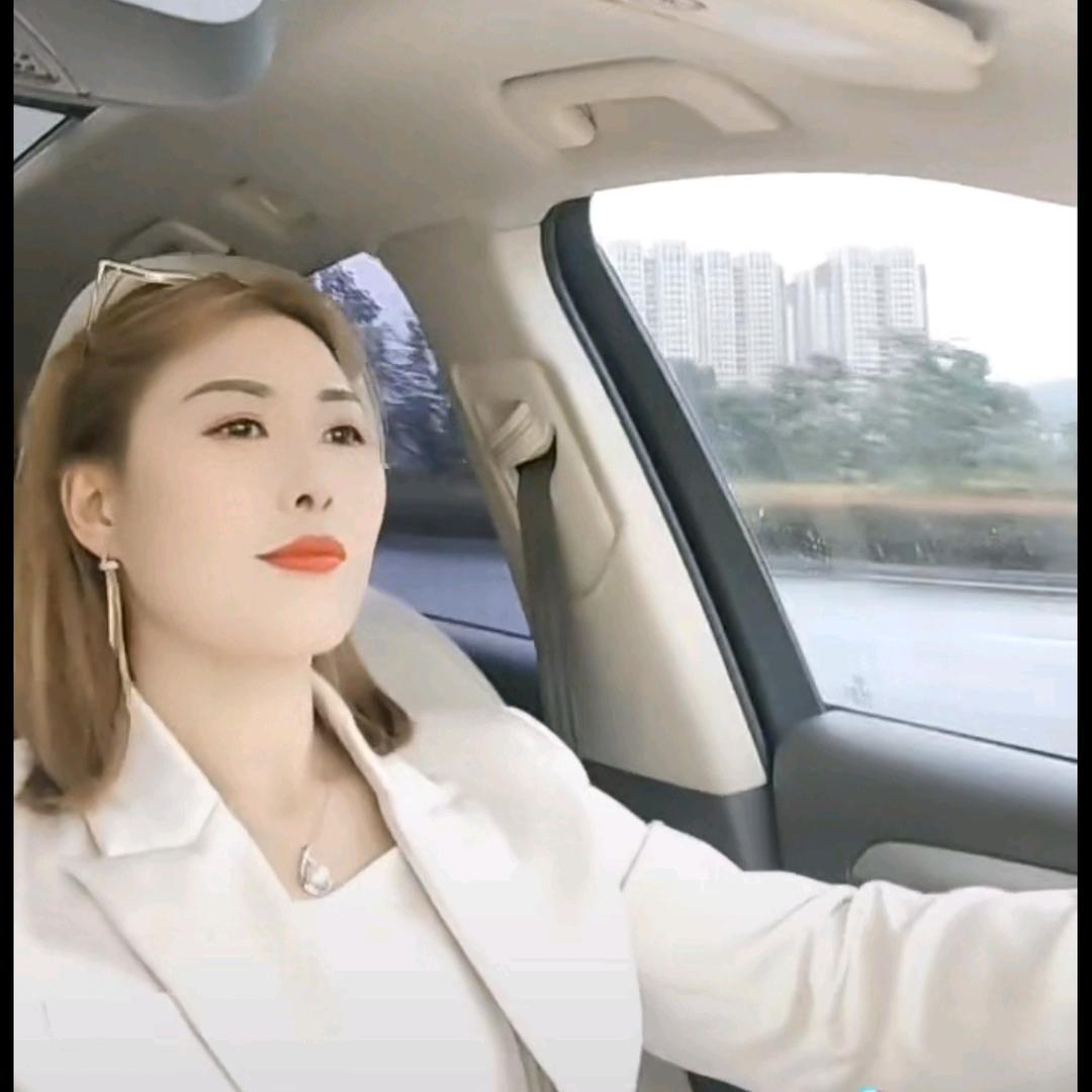 如意燕子