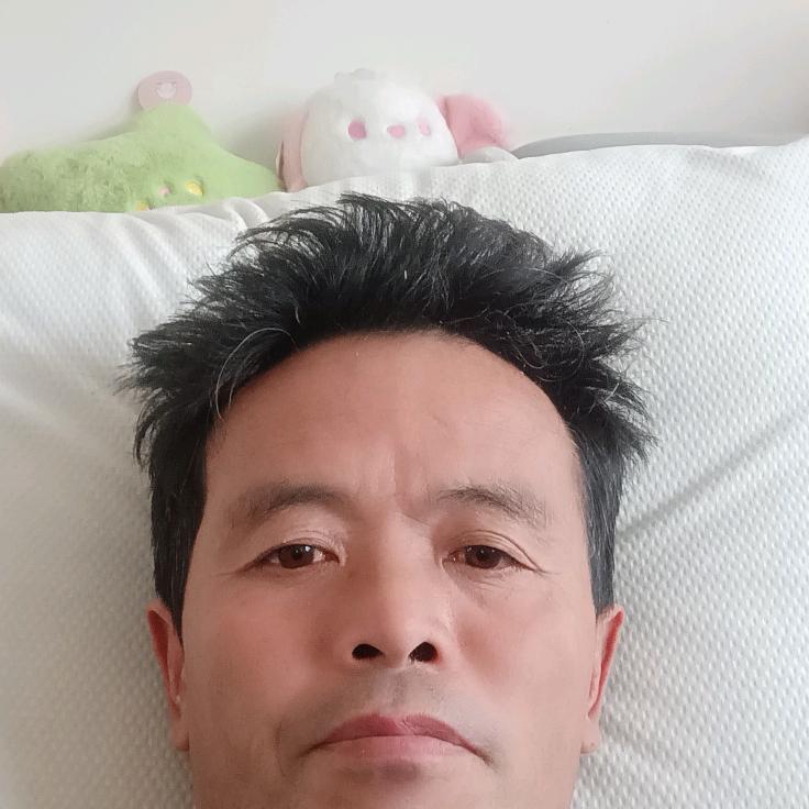 春去春又回