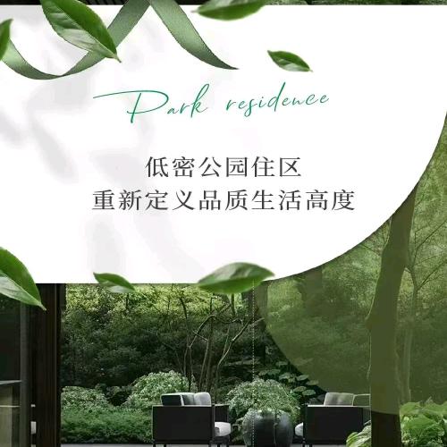 盛唐公园里