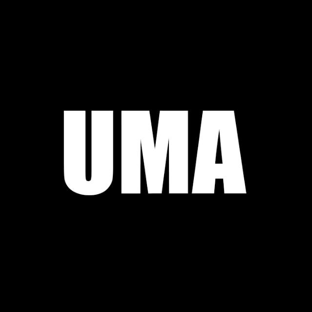 UMA寰球武术赛事