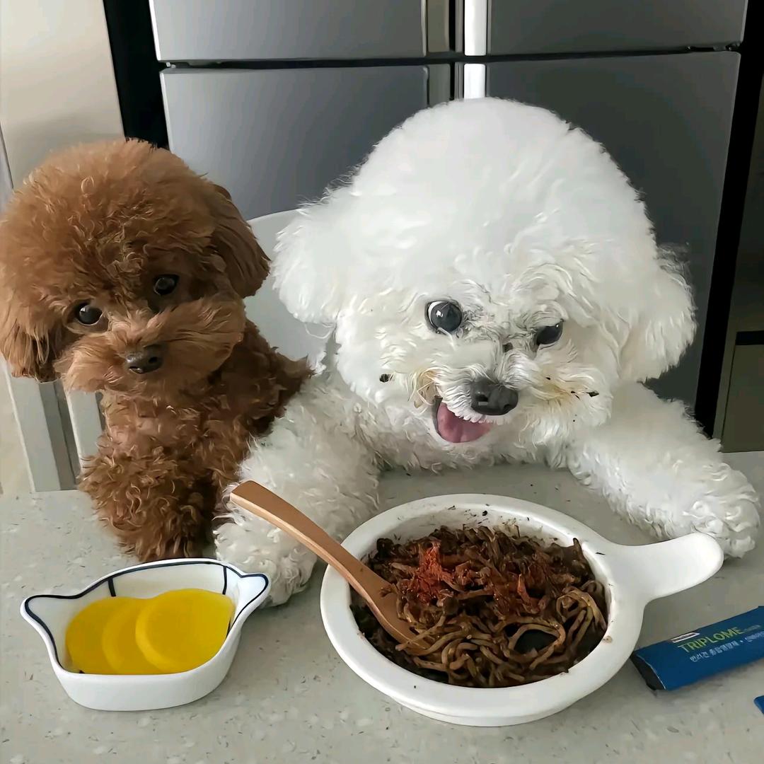 饱饱吃饱了