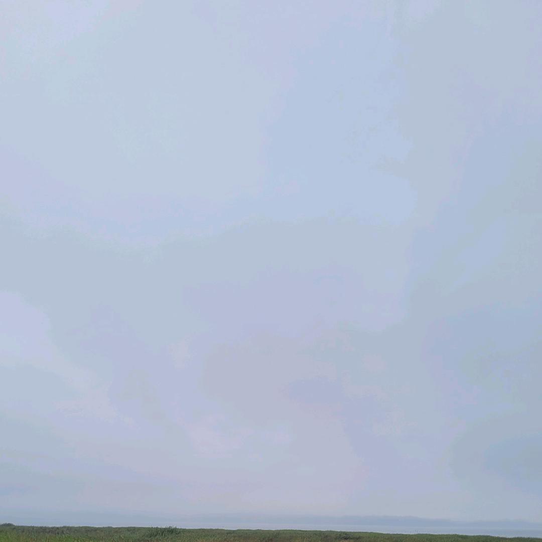 意