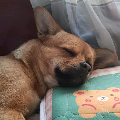 小米潮流合伙人