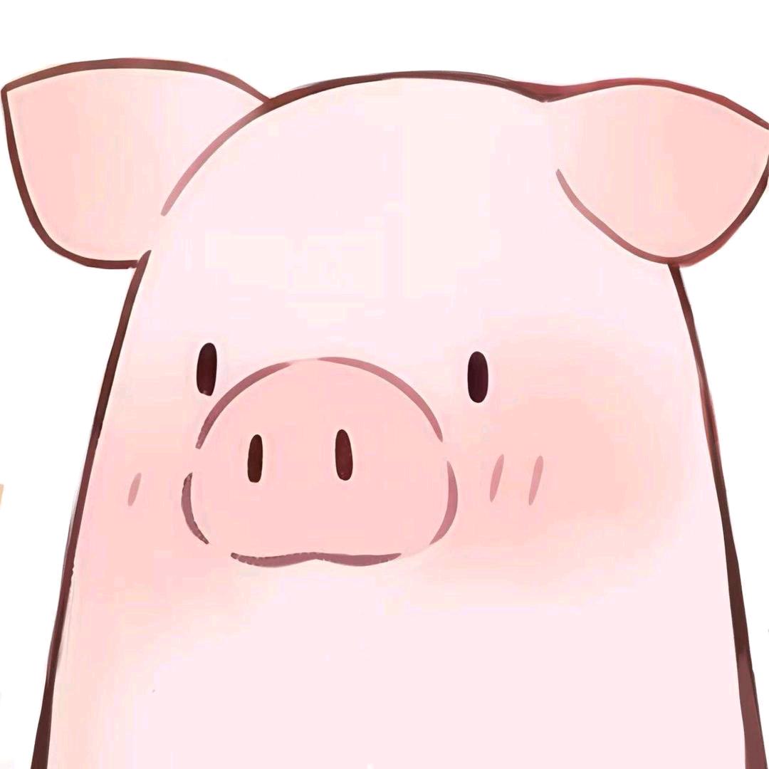 大宝🐷✨