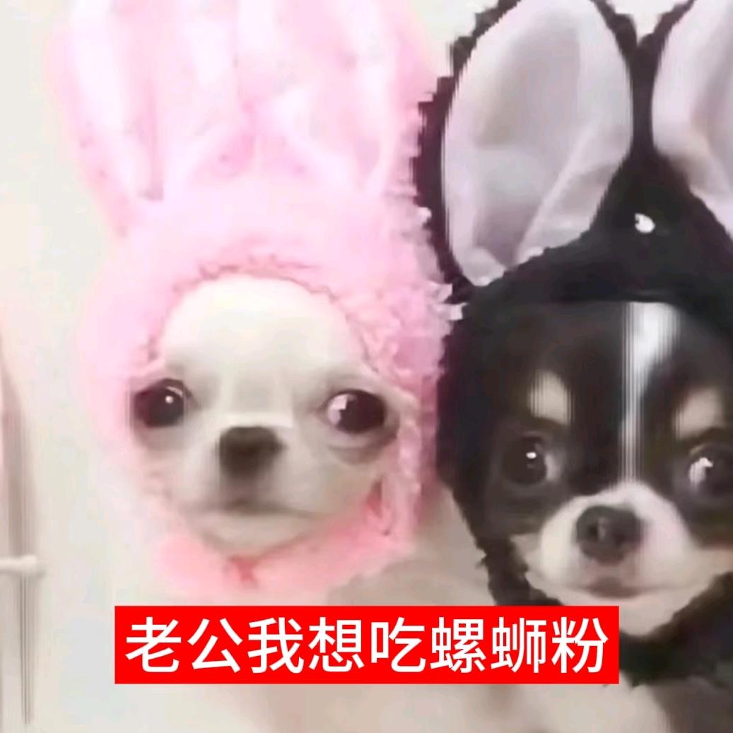 困了睡_