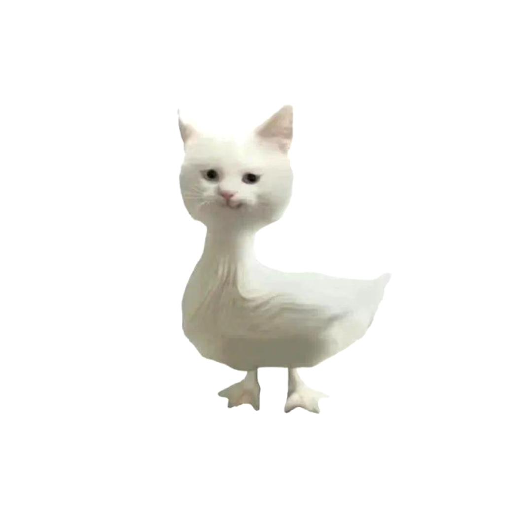 'L