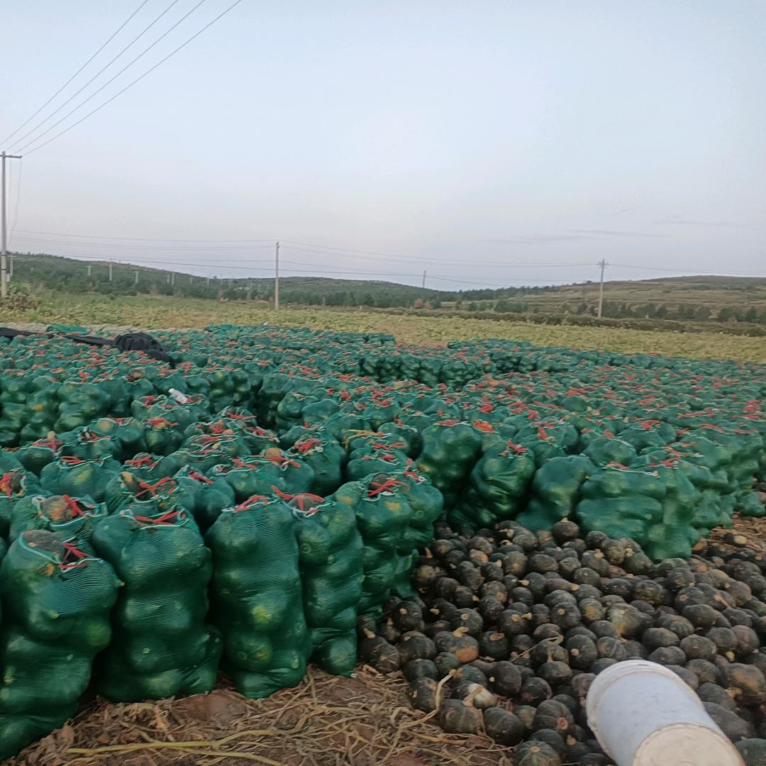 裕丰家庭农牧场闫凤凰