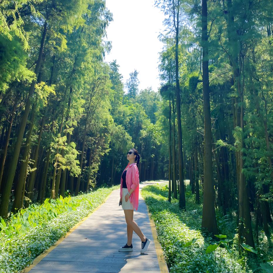 莫小默
