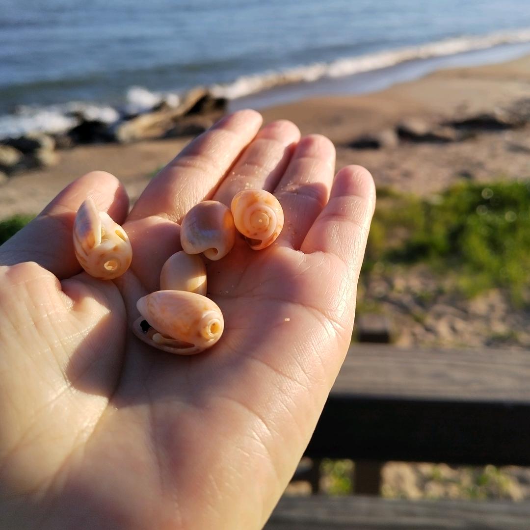 中国广电营业厅小罗