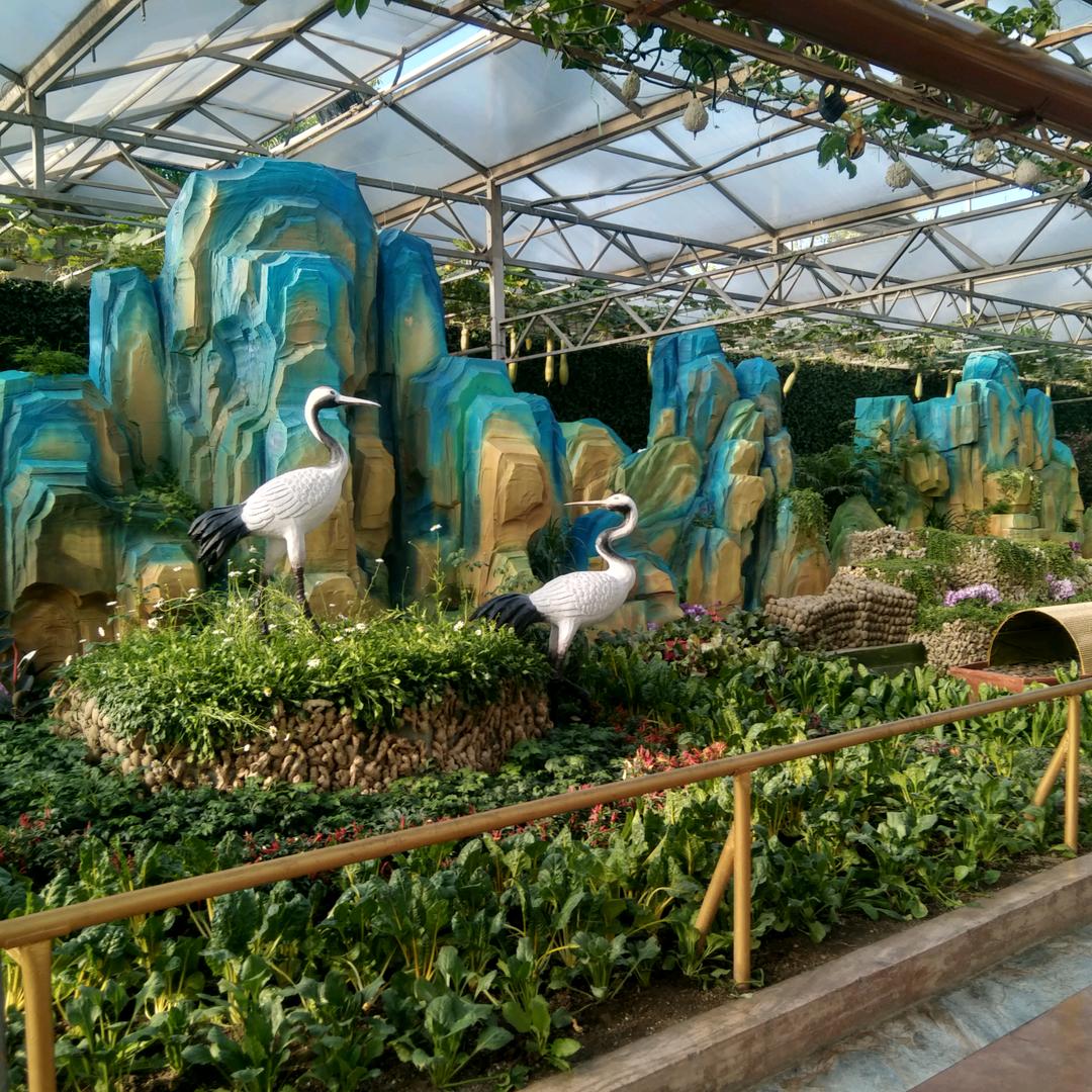 用户名74731874头像