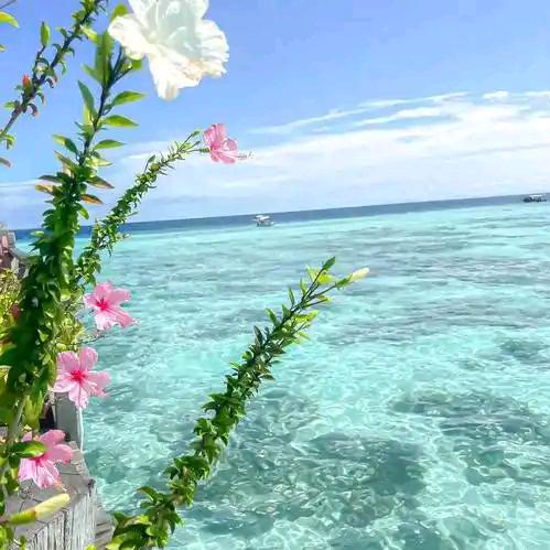 浅浅淡淡