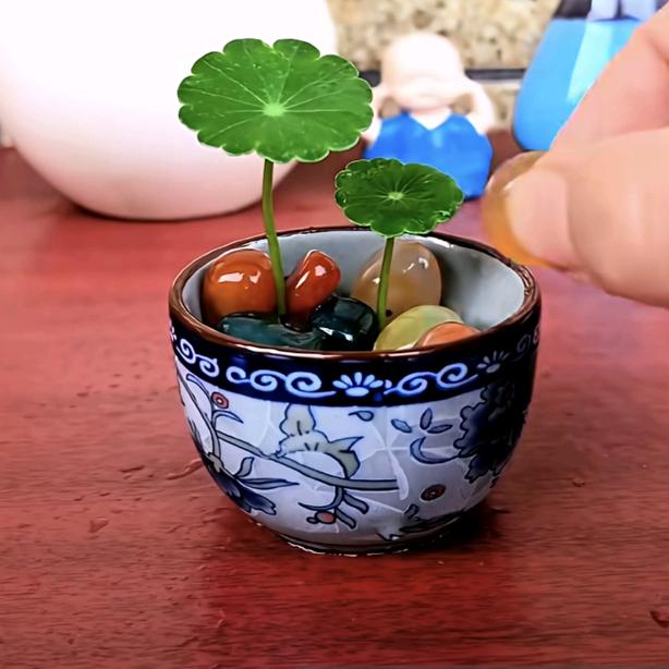 有你真好@