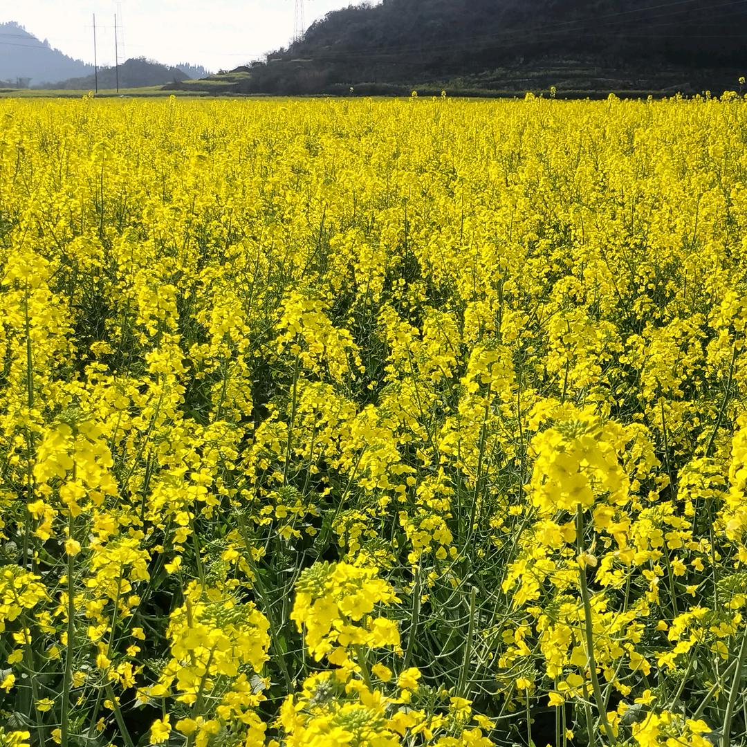 休闲解压小助理