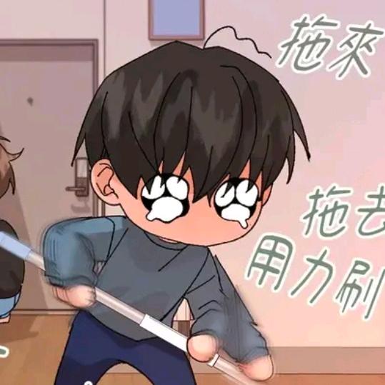 今天来份猫猫狗狗🐱🐶