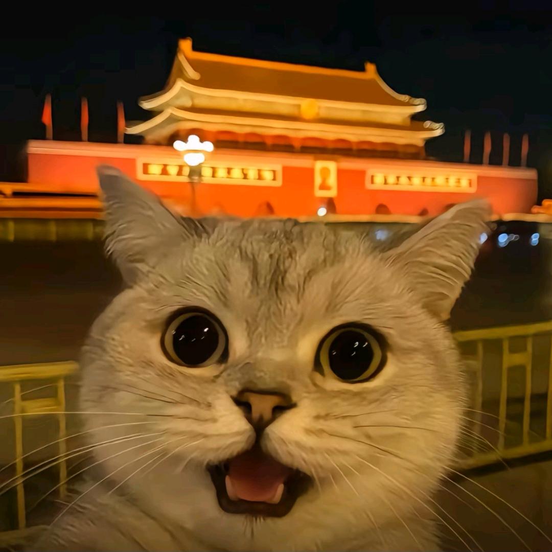 云雾隐