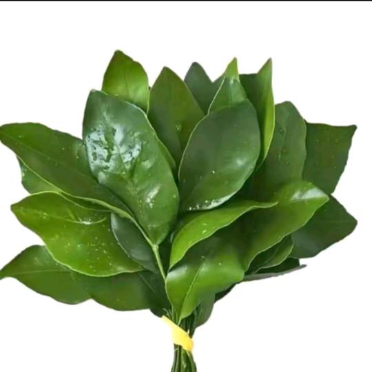 我不是主角