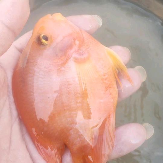 ࿔༎࿔⍨相忘໊ཀྃ江湖✨࿐