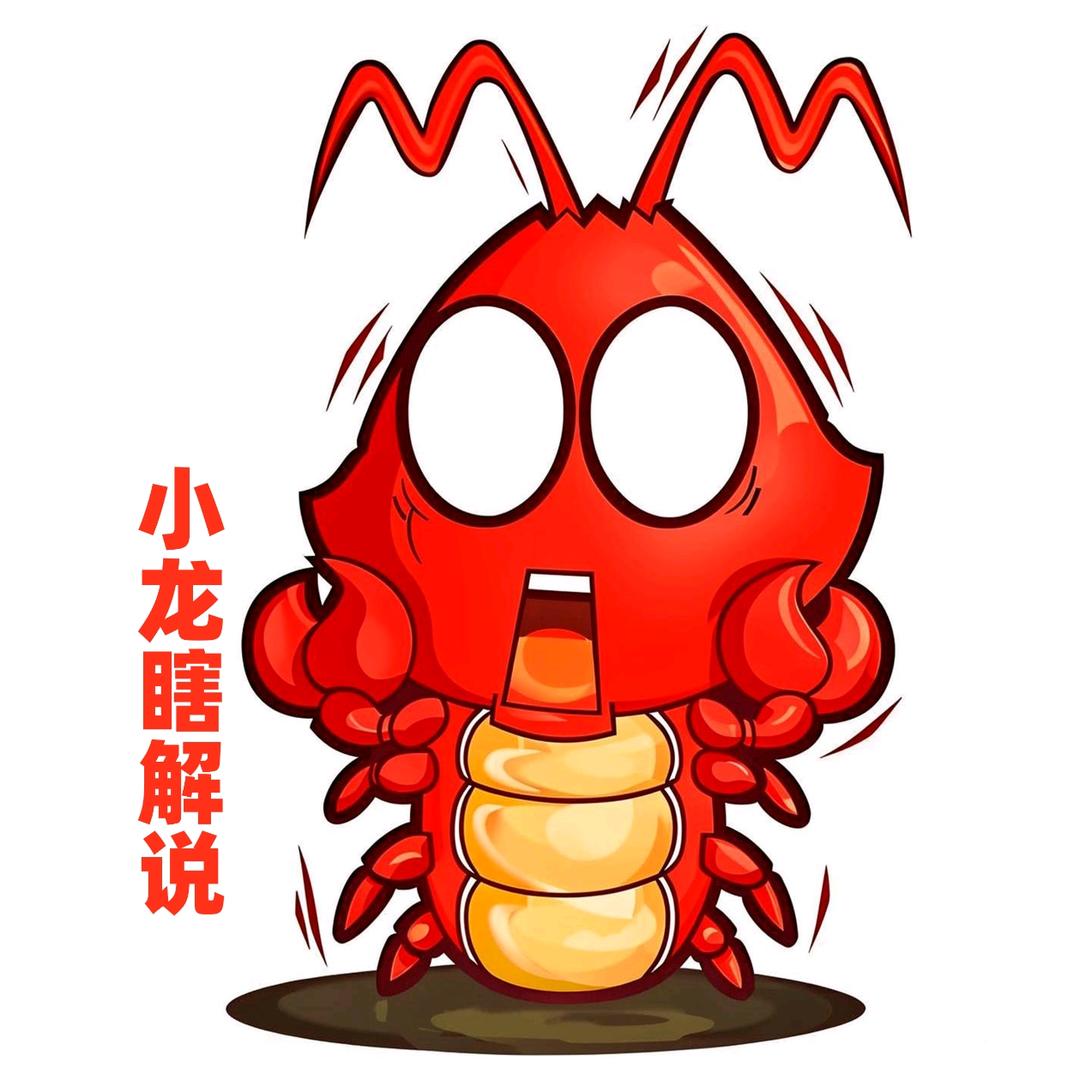 小龙瞎解说