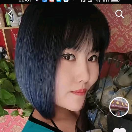 新新