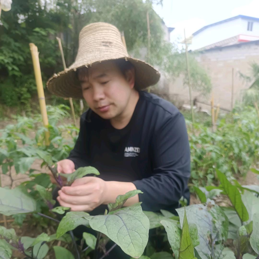 田园林哥哥