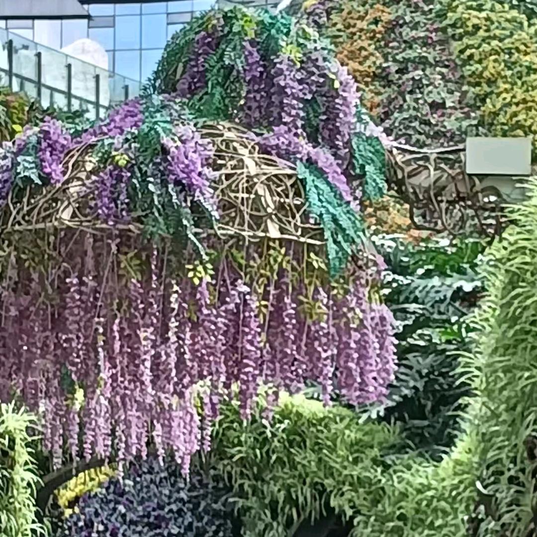 锦绣中华