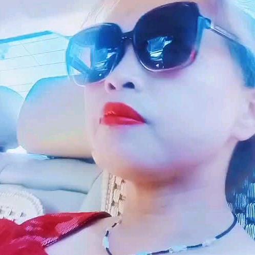 携洋向暖而行