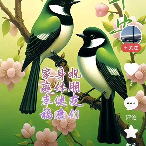 大雪无痕