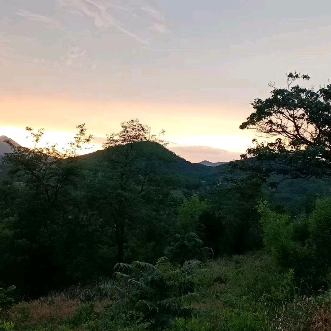 不慌不忙捡月亮