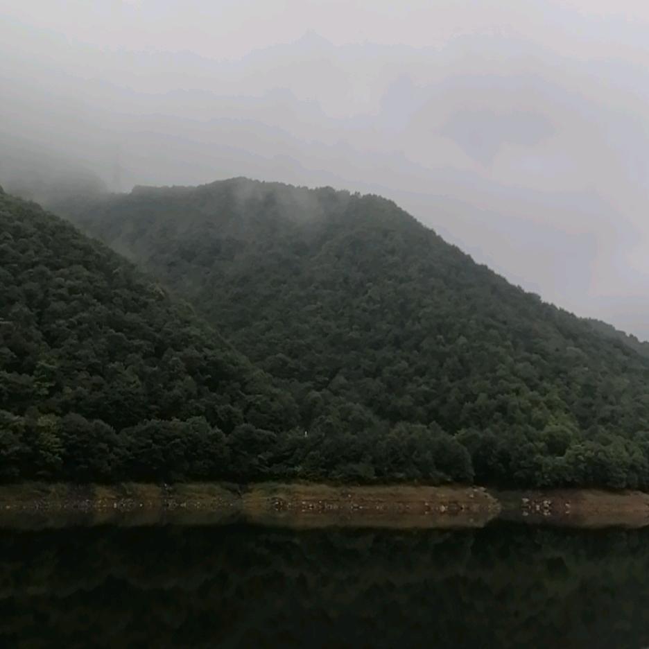 高山草甸