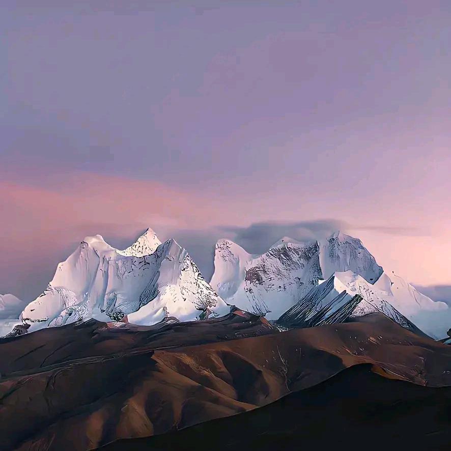 墙外的风景