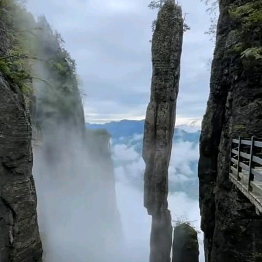 🔥白天不懂夜的黑♬