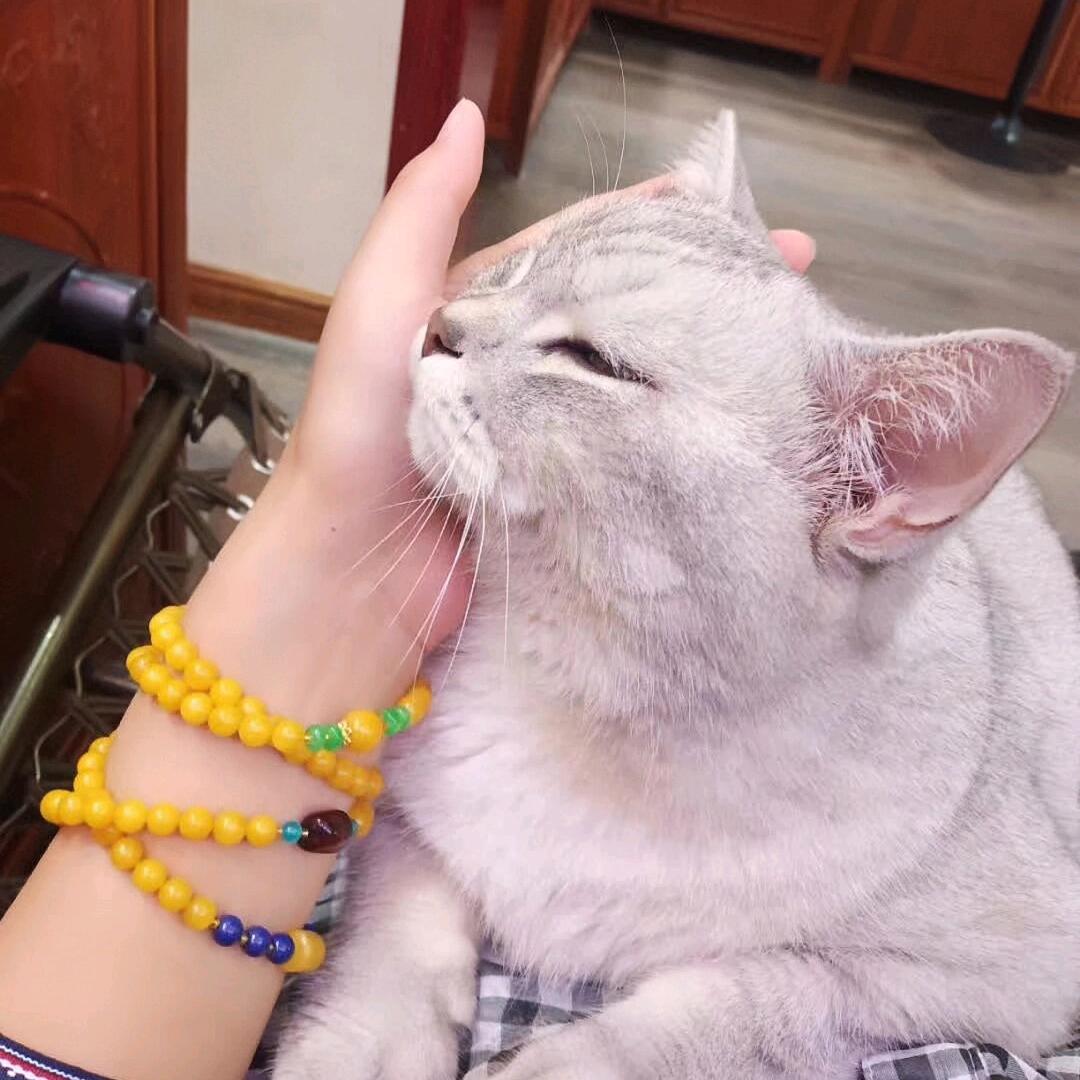 @菩提水晶